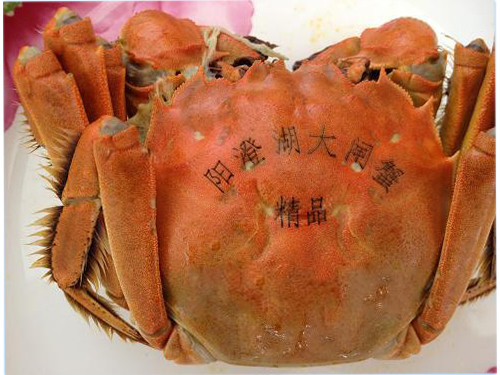 非金屬加工打標(biāo)樣品